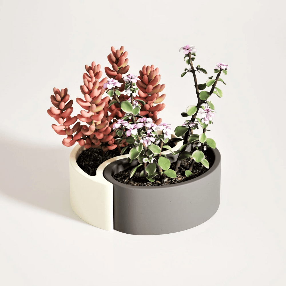Boowan Nicole: Yin Yang Concrete Succulent Planter Silicone Mould - BohriAli.com