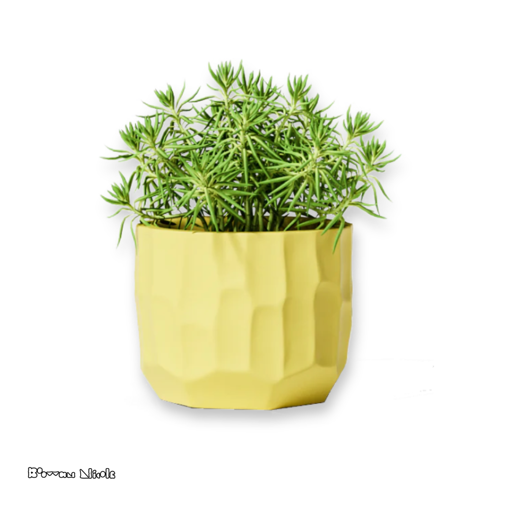 Boowan Nicole: Concrete Sculptural Plant Pot Silicone Mould