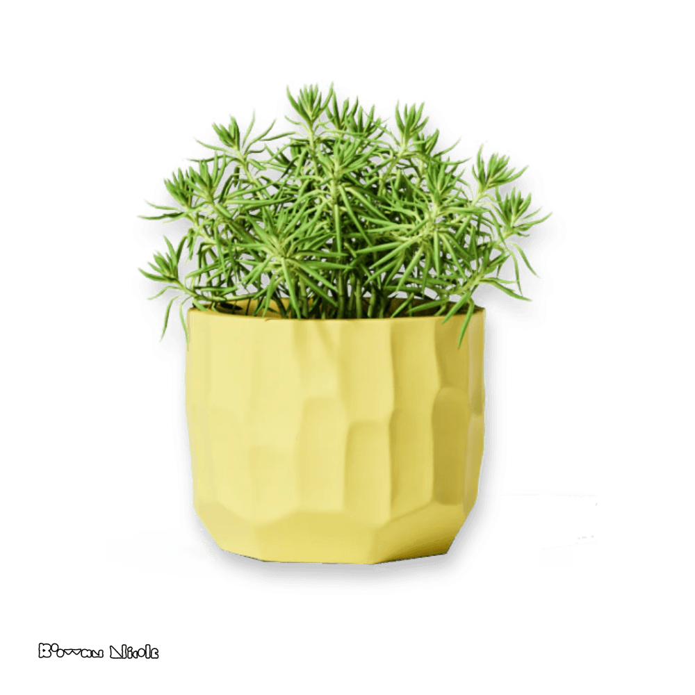 Boowan Nicole: Concrete Sculptural Plant Pot Silicone Mould - BohriAli.com