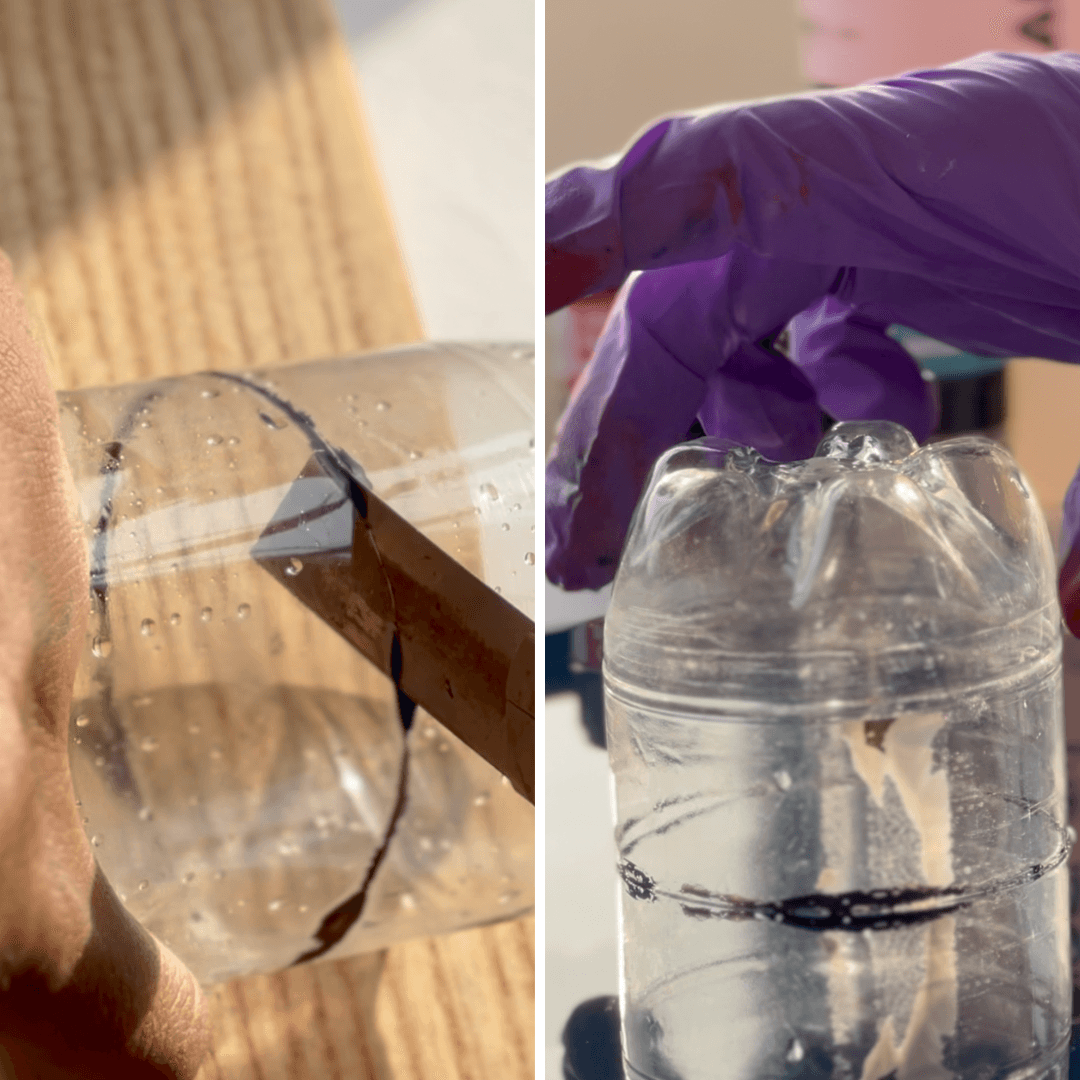 Celestial Petal Pour - Day 4 - BohriAli.com