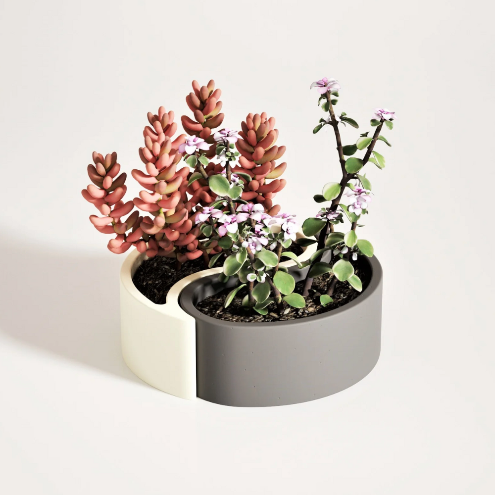 Boowan Nicole: Yin Yang Concrete Succulent Planter Silicone Mould