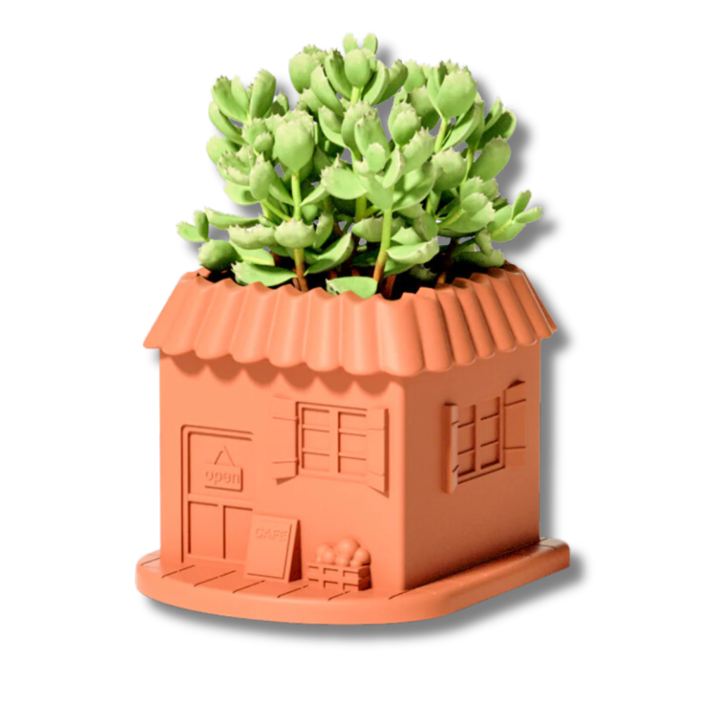 Boowan Nicole: Mini-House Plant Pot Silicone Mould