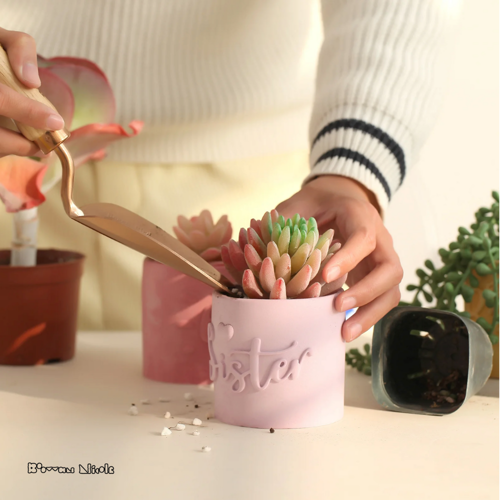 Boowan Nicole: Let Love Grow Collection Plant Pot & Candle Jar (No Lid)